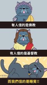 貓貓人網格合約討論區