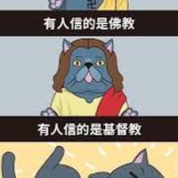 貓貓人網格合約討論區