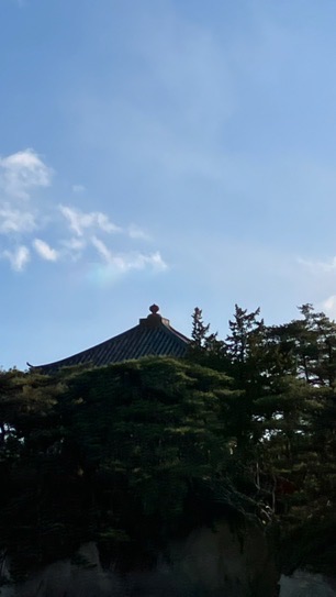 中高大生限定（大人も専門学生もok）