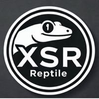 XSR_Reptile CLUB