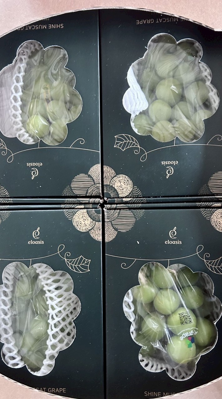 僑僑水果海鮮團購