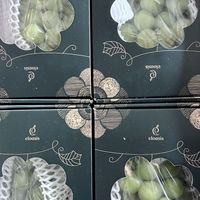 僑僑水果海鮮團購
