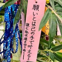 Shorintube