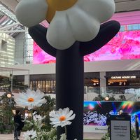 韓國🇰🇷代購
