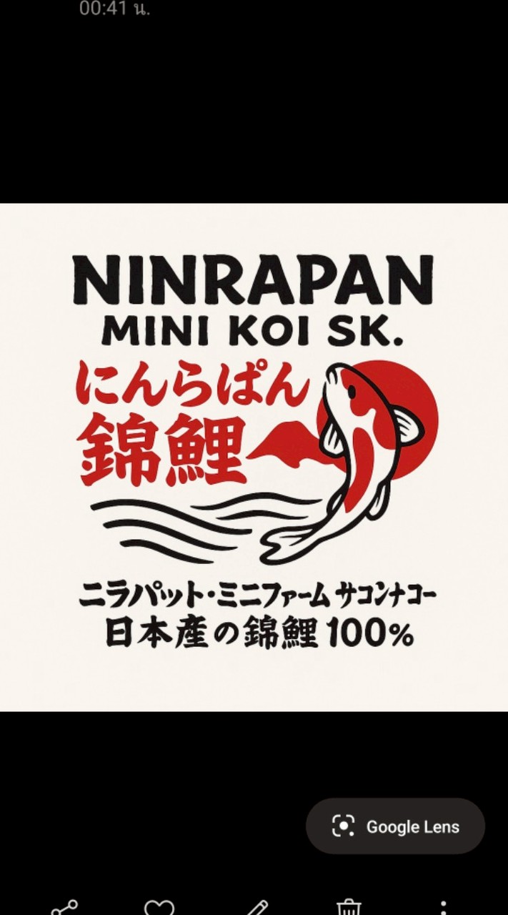 Ninrapan mini koi SK.