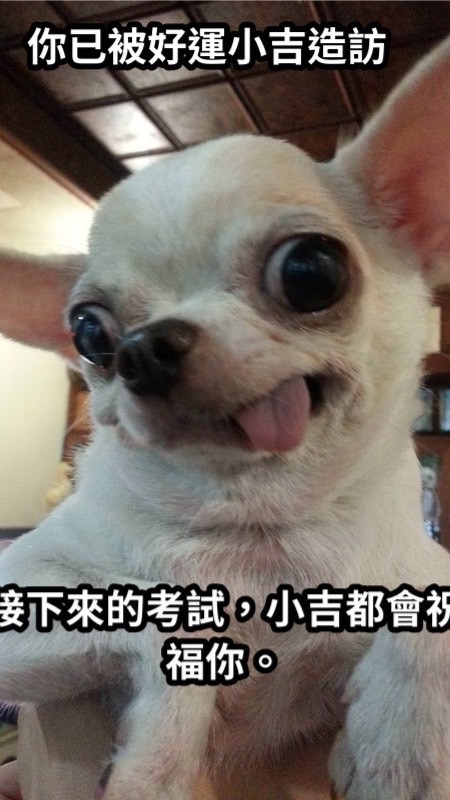 咱十小 十在牛