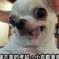 咱十小 十在牛