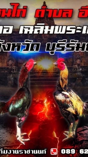 สนามชนไก่ราชานนท์
