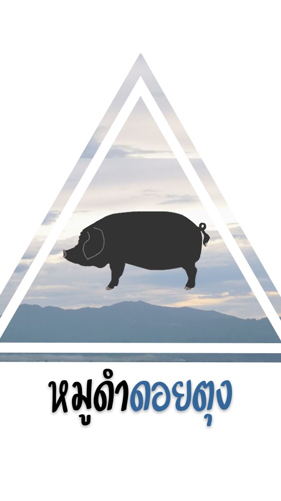 ตลาดปศุสัตว์ ดอยตุง