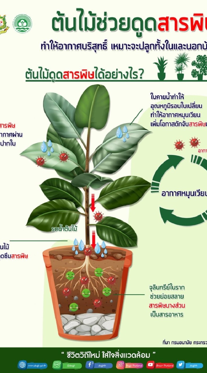 กลุ่มกิจกรรม. 5ส..2/64