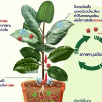 กลุ่มกิจกรรม. 5ส..2/64