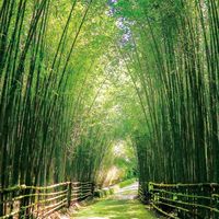 綠竹賞住戶社群