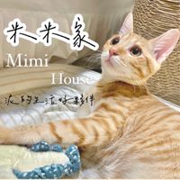 米米家Mimi House🏠
