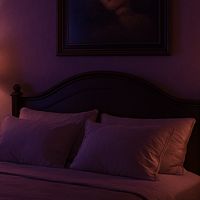 The room