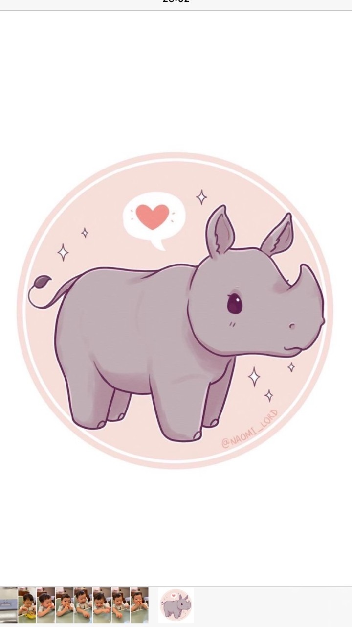 新湖Rhino