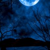 　蒼　ヰ　月　ノ　日　似　…
