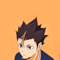 排球少年團購代購1群（安利美特/娃娃/徽章）