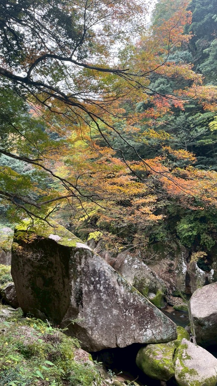 地域未来論