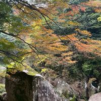 地域未来論