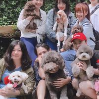 貴賓狗的《中部》歡樂窩