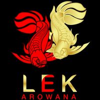 Lek_Tungkru Arowana Thailand