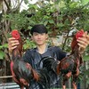 ซุ้ม เพชรนาคำป่าก๋อยสโล่หลัง