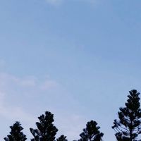 肉粽夫妻｜創業、閒聊、交流