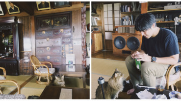 沖繩私房景點：金城町石疊道的貓咪咖啡廳「音猫 Music Cafe」