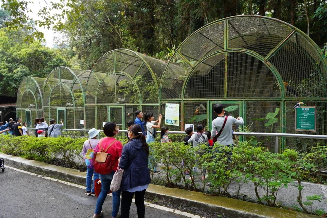 中部景點,南投景點,南投親子景點,國立自然科學博物館鳳凰谷鳥園生態園區,鳳凰谷鳥園,鳳凰谷鳥園生態園區