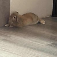 聊天、處關係、傳說、lol、日常、訴苦、追星、二次元、吃瓜、唱歌