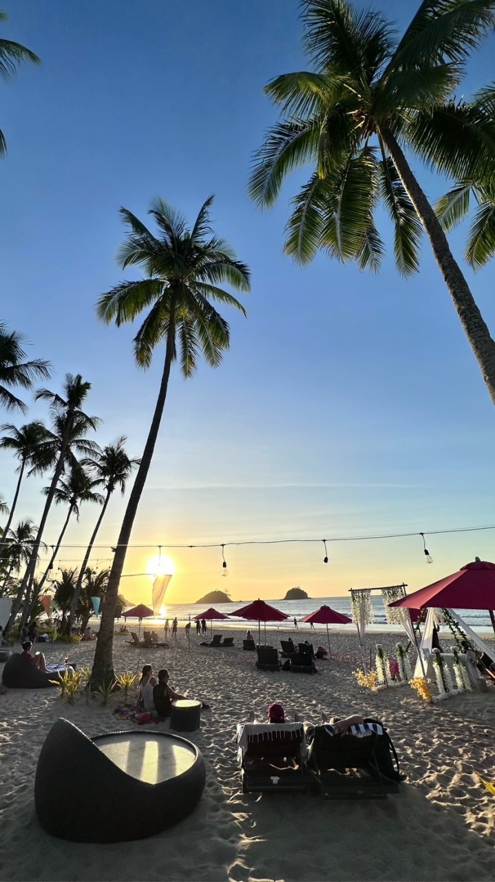 飄飄不在海裡就在森森裡