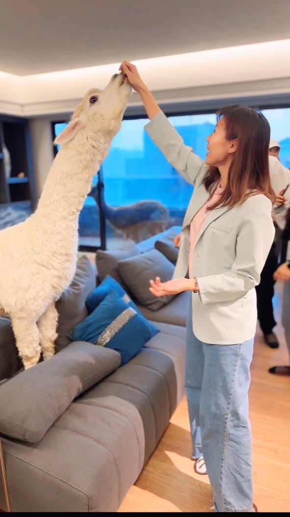 湘瀅富婆姐妹群