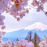 宮崎🐾𝟒𝟎’𝒔𝟓𝟎’𝒔大人の𝒇𝒓𝒊𝒆𝒏𝒅