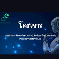 อบรมโครงการพัฒนาทักษะดิจิทัล