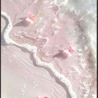 處cp/秀恩愛／姐妹／情侶／閨蜜