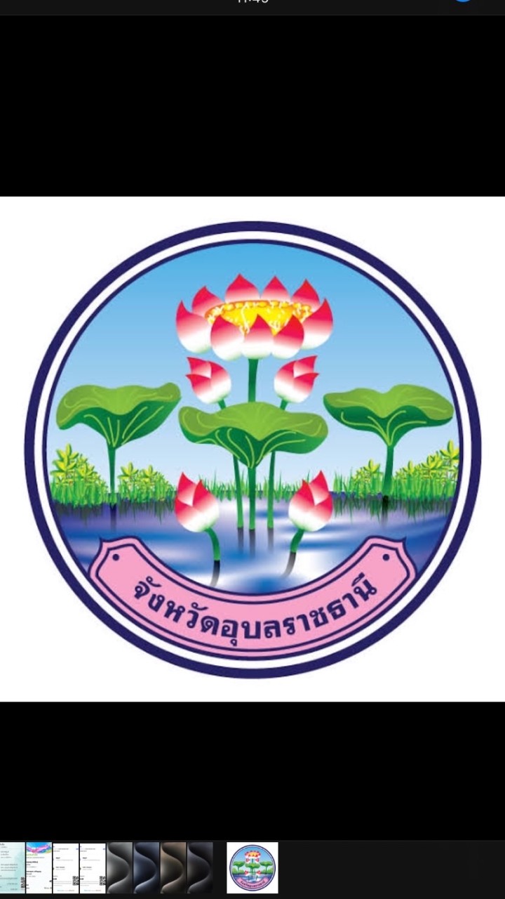 ภาคีเครือข่ายป้องกันการทุจริตขบวนองค์กรชุมชนอุบลราชธานี