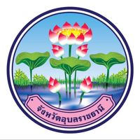 ภาคีเครือข่ายป้องกันการทุจริตขบวนองค์กรชุมชนอุบลราชธานี