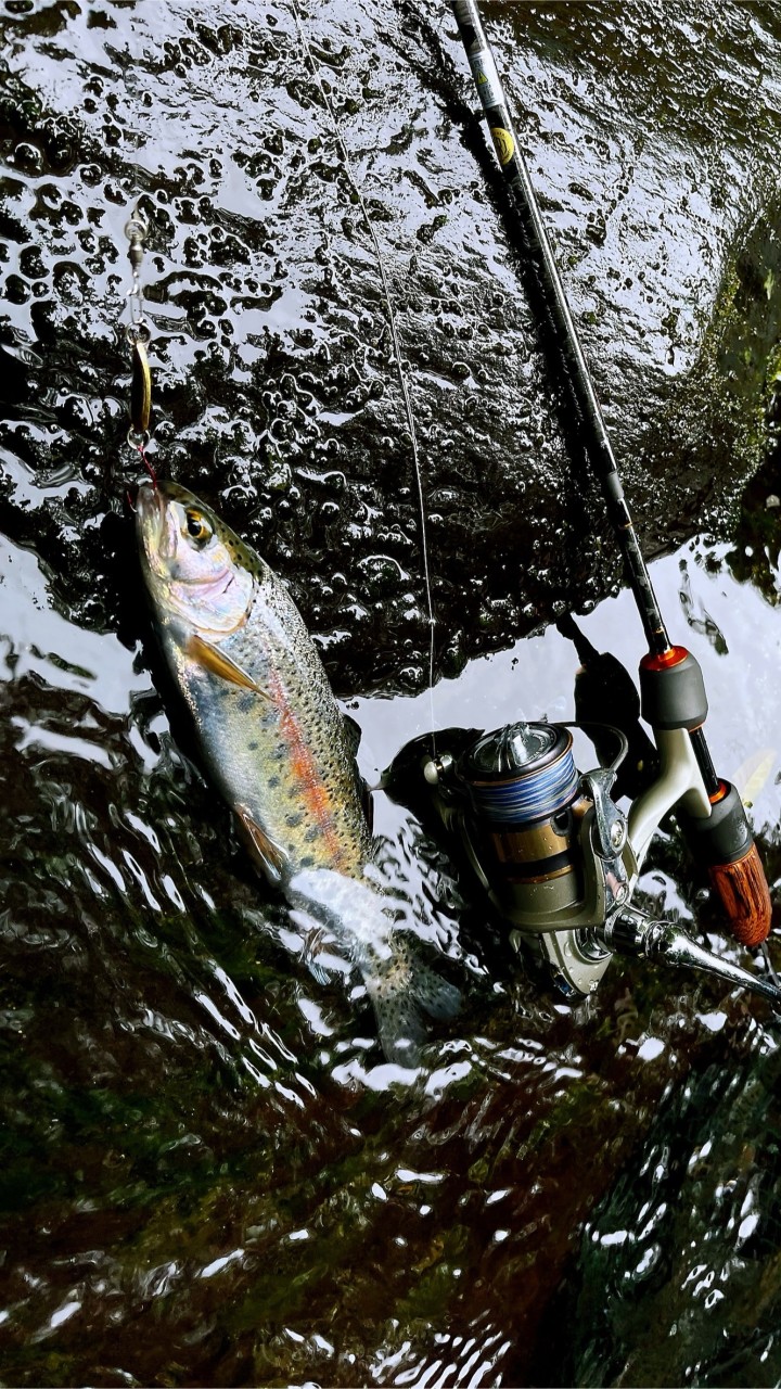 台灣路亞釣魚 Lure Fishing