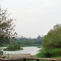 我是鳥松人