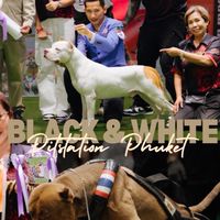 PITSTATION (ครอบครัว3แสบ)fc.❤️