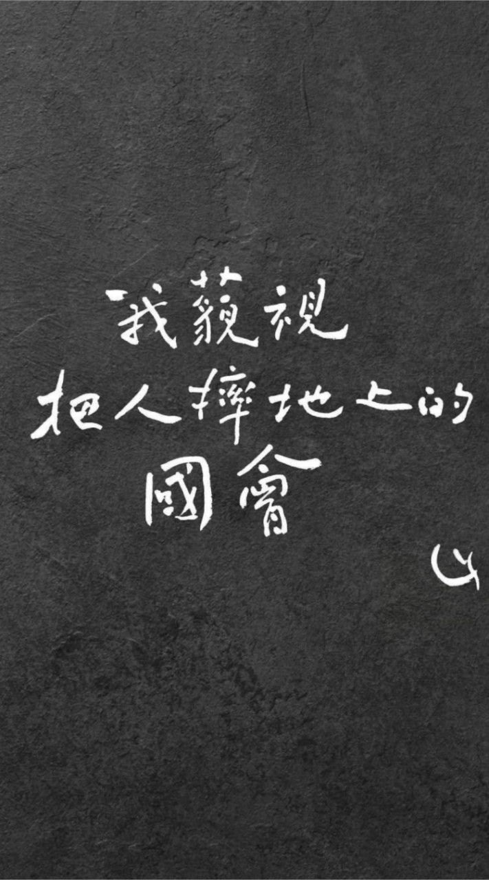 民主進步黨中部青年聯合後援會