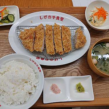 とんかつ とり天 しげのや食堂 田中町 南大分駅 とんかつ By Line Conomi