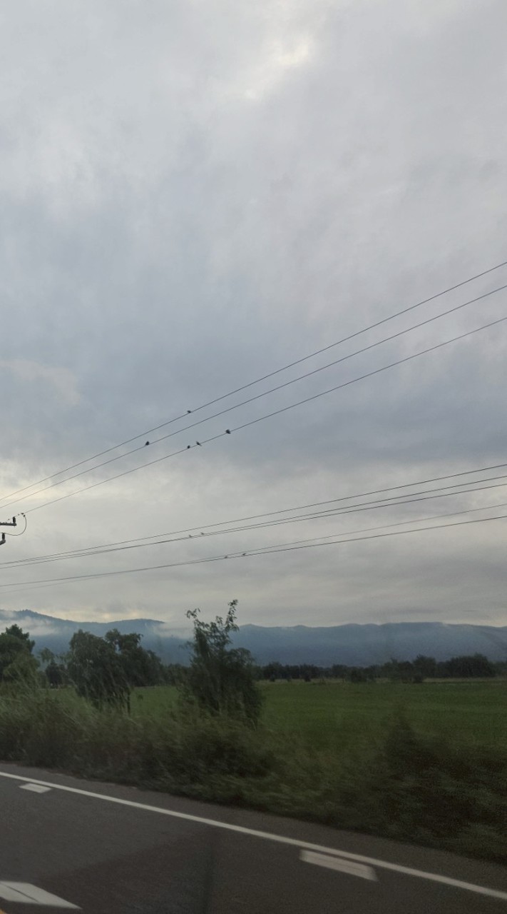 พนักงานนันยางฯ