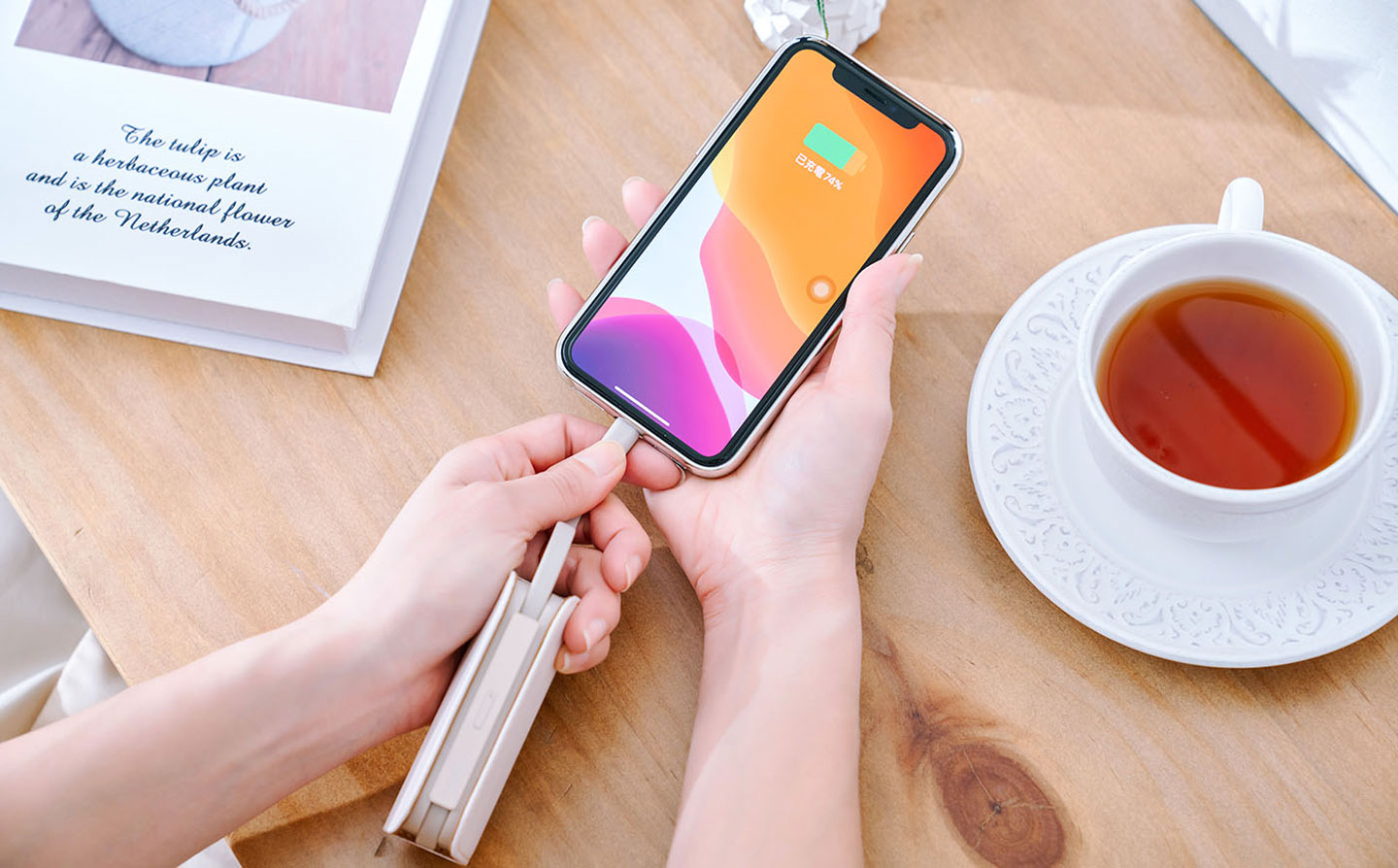 極度輕巧、自帶充電線的 moshi IonGo 5K 系列～不僅隨身攜帶無負擔，更是重度使用者的電力救星！