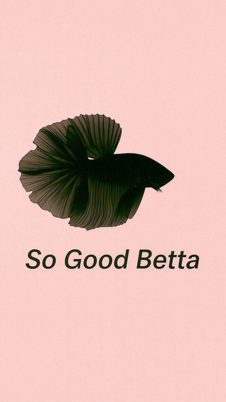 🩵🫧So Good Betta ｜ 好鬥魚精品 🫧🩵