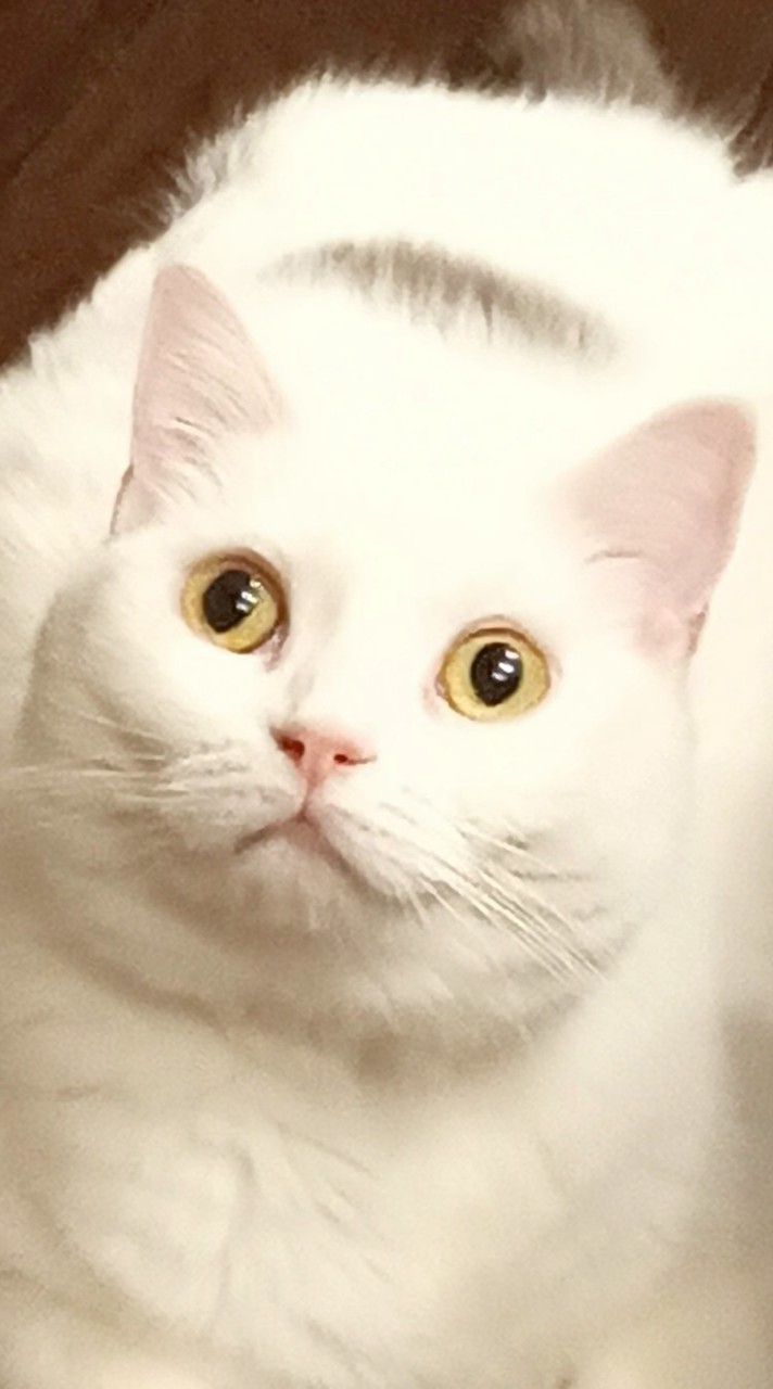 みんな仲良くしよー、