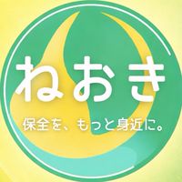 ねおきのいりぐち