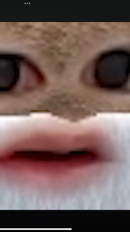 まえすけ大好きな人集まれ