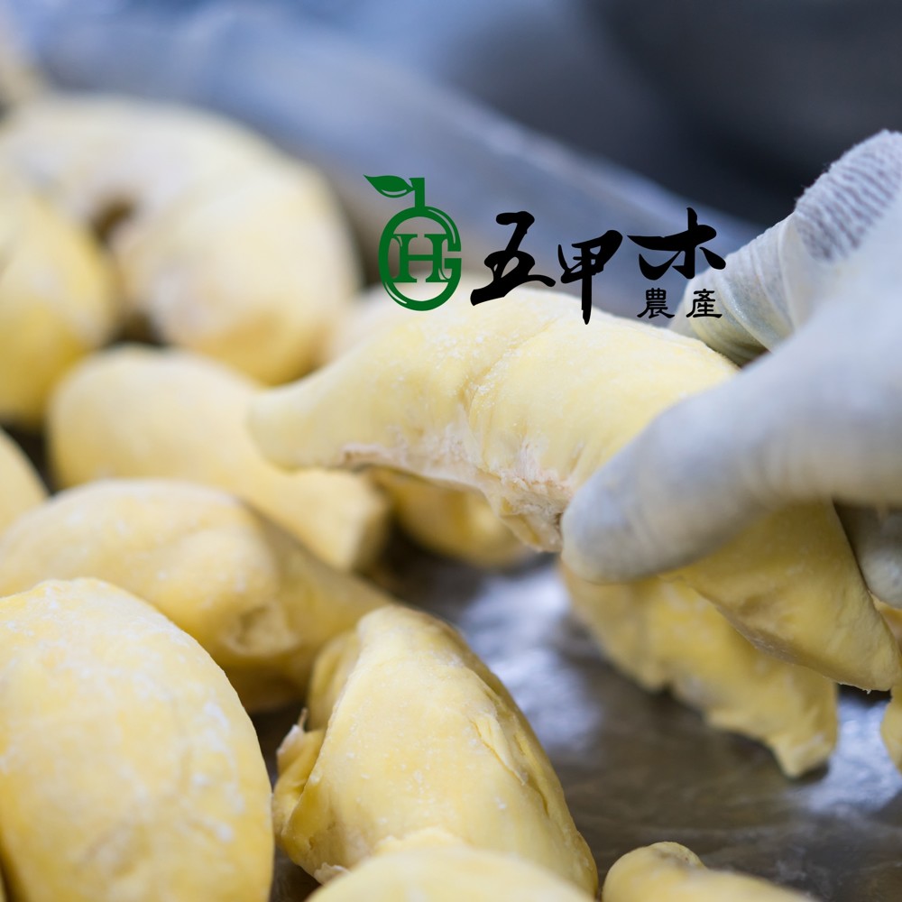 [五甲木]泰國金枕頭/原生種榴槤-在叢熟成產地直送