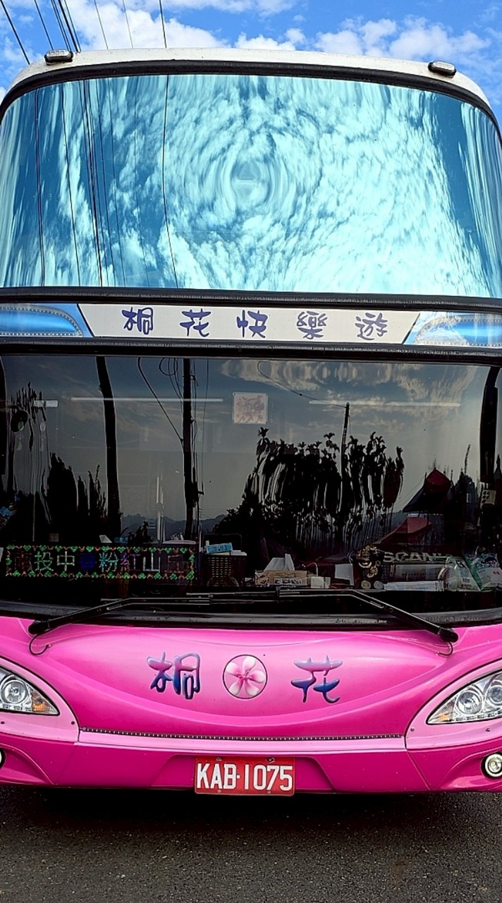 桐花旅行社2群